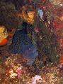 IMG_4374 r1